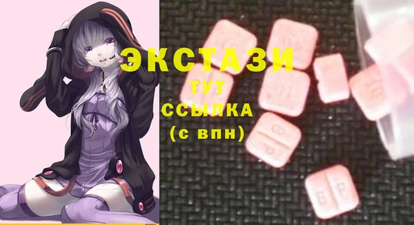 СК Алексин