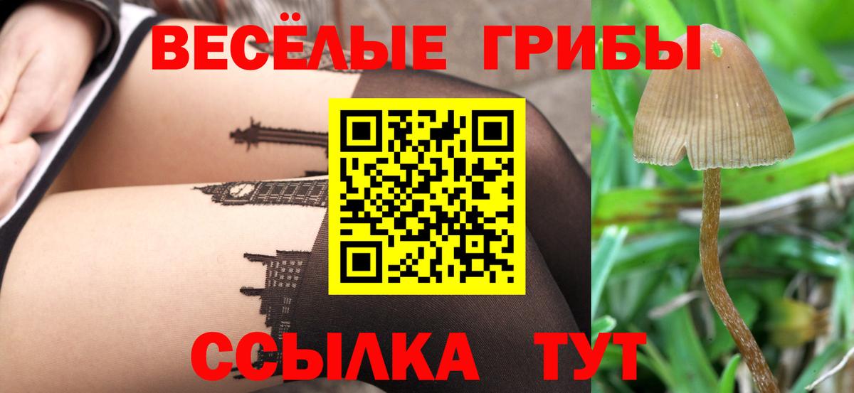 Галлюциногенные грибы Psilocybe  купить наркоту  Котельники  Вход с VPN 